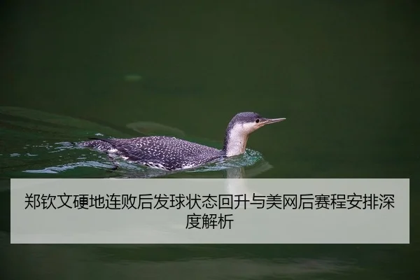 郑钦文硬地连败后发球状态回升与美网后赛程安排深度解析